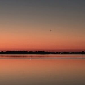 Meet your Posher, Sal